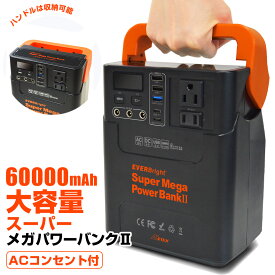 楽天市場 ポータブル 充電器 の通販
