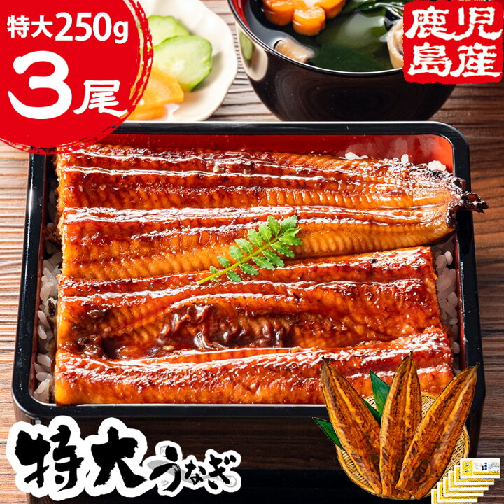 楽天市場】送料無料 国産 うなぎ 特大鹿児島産鰻【250gサイズ×3尾 