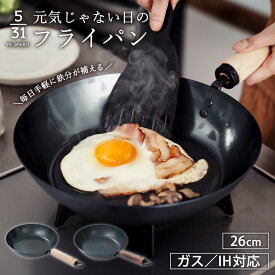 元気じゃない日のフライパン 日本製 フライパン 26cm 鉄製フライパン 鉄 藤田金属 鉄フライパン 鉄分補給 フェムテック 軽量 六角グリップ 持ちやすい 軽量 IH対応 ガス対応 キッチン 調理 お手入れ簡単 鉄器 天然木 ハードテンパー加工 直火【送料無料】【レビューで特典】