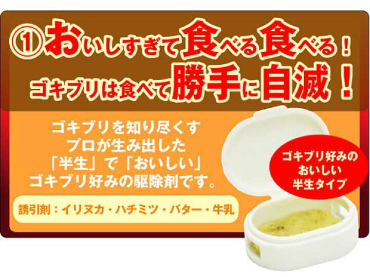 楽天市場 送料無料 ゴキちゃんグッバイ 1セット6個入り 業務用 店舗 強力 ゴキブリ 駆除剤 家庭用 ゴキちゃんグッパイ ごきぶり 飲食店 退治 対策 暮らしの幸便 ゴキブリ 業務用 台所 家庭 害虫駆除 誘引剤 殺虫 アブラムシ ごきちゃん 長持ち 撃退 メール便
