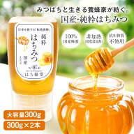 【クーポン配布☆5/16/1:59迄】はちみつ 国産 非加熱 無農薬 抗生物質不使用 【300g】 はち福堂 純粋はち…