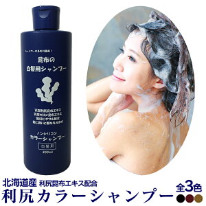 ヘアカラー シャンプーの人気商品 通販 価格比較 価格 Com