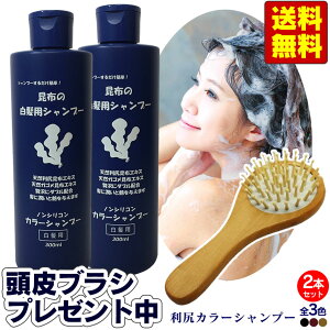 白髪 シャンプー 女性 ヘアカラーの人気商品 通販 価格比較 価格 Com
