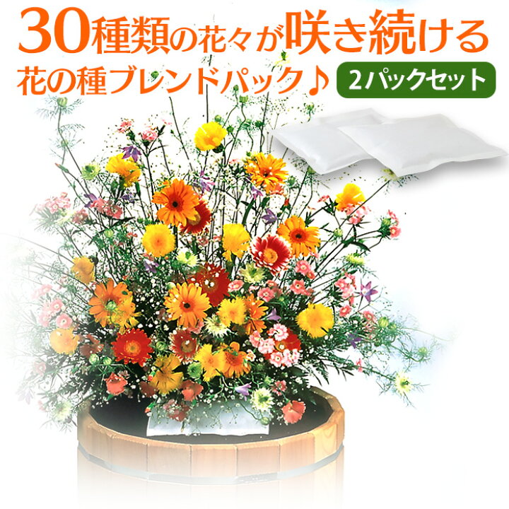楽天市場 送料無料 花の種ブレンドパック フラワリーランド 2パック 花の種 ミックス 花の種ブレンド 簡単 咲き続ける ガーデニング お花畑 ギフト 30種類 園芸 花 種子 栽培 たね タネ お花 ふらわりーらんど フラワー 初心者 ポイント消化 誕生日 敬老の日 お祝い