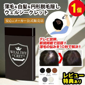 薄毛隠し 薄毛 パウダー キープ ハゲ隠し はげ隠し【ウェルシークレット 20g】頭頂部 増毛 粉 女性用 ハゲ ふりかけ 髪の毛 繊維 円形脱毛症 隠す 白髪隠し 増毛スプレー 部分 かつら ウィッグ よりローコスト 男性 分け目 円形脱毛症【RSL】