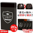 薄毛 薄毛隠し ハゲ隠し はげ隠し【ウェルシークレット 20g×1個】サッと1振り簡単増毛法 薄毛 粉 パウダーハゲ ふりかけ かける 髪の毛 ふりかけ 繊維 ハゲ 繊維 髪 男性用 女性用 ボリューム 隠す 対策 ワイドシステム 分け目 はげ 薄毛隠し 父の日 遅れてごめんね
