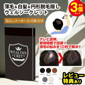 薄毛隠し 薄毛 パウダー キープ ハゲ隠し はげ隠し【ウェルシークレット 20g×3個】サッと一振り30秒簡単増毛法 頭頂部 増毛 薄毛 粉 女性 ハゲ ふりかけ かける 髪の毛 繊維 髪 隠す 男性用 髪 産後 増毛剤 分け目 分け目 円形脱毛症隠し はげ