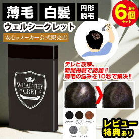 【クーポン配布中】薄毛隠し パウダー キープ 女性 薄毛 ハゲ隠し はげ隠し【ウェルシークレット 20g×6個】頭頂部 増毛 薄毛 粉 女性 ハゲ ふりかけ かける 繊維 髪 円形脱毛症 隠す 男性用 ボリューム 髪の毛 分け目 円形脱毛症隠し 薄毛隠し パウダー 頭皮部分隠し