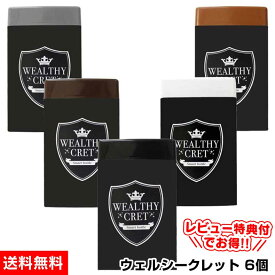 【送料無料】薄毛隠し 女性 薄毛 ハゲ隠し はげ隠し【ウェルシークレット 20g×6個】増毛 薄毛 粉 女性 パウダー ハゲ ふりかけ かける 繊維 髪 円形脱毛症 隠す 男性用 ボリューム 髪の毛 分け目 円形脱毛症隠し 薄毛隠し パウダー 頭皮部分隠し おすすめ 口コミ
