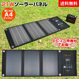 テレビで紹介! 【送料無料】ソーラーパネル 21Wソーラーパネル ポケット付 SSBSP-21WP 発電機 小型 家庭用 ソーラー充電器 ソーラーパネル テレビ朝日 ロッピング アウトドア 防災グッズ 太陽光発電 USB充電 USB出力 DC出力 スマホ ソーラー電池 モバイル バッテリー