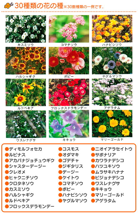 楽天市場 送料無料 花の種ブレンドパック フラワリーランド 2パック 花の種 ミックス 花の種ブレンド 簡単 咲き続ける ガーデニング お花畑 ギフト 30種類 園芸 花 種子 栽培 たね タネ お花 ふらわりーらんど フラワー 初心者 ポイント消化 誕生日 敬老の日 お祝い