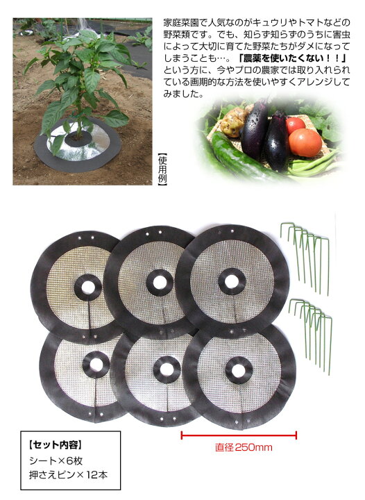 楽天市場 虫よけしきわらいらず 6枚組 苗 畑 菜園 害虫駆除 アブラムシ コナジラミ 自然農法 有機農法 有機栽培 家庭菜園 ギフト 農作業 虫よけ しきわらいらず ピン付 虫除け器具 無農薬 栽培 害虫 敷き藁 ランキング 人気 おすすめ 薬剤を使わず 害虫駆除 安全 敬老の