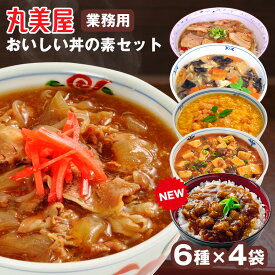 【★5/1限定!先着限定クーポン有!】丸美屋業務用 おいしい丼の素 20袋セット 丸美屋 丼 業務用 麻婆丼 親子丼 中華丼 牛丼 塩カルビ丼 5種 各4袋 どんぶり レトルト パウチ 常温保存 野菜 肉 簡単 湯煎 備蓄 食料 長期保存 保存食 時短 調理 おかず セット ご飯のお供 子供