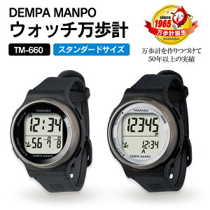 y|Cg10{zv rv X}zsv v dgrv rv^ R fB[X Y  }T EHb`v DEMPA MANPO TM-610 vEHb` s J[ 퐶