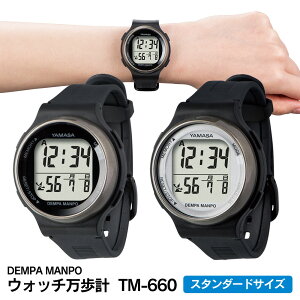 y|Cg10{zv EHb`v DEMPA MANPO TM-660 X^_[gTCY v rv^Cv rv v v@\trv vEHb`  s J[ s E