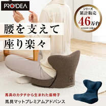 楽天市場】馬具 マット プレミアム exの通販