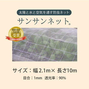 y|p hlbg ڍ1mmz TTlbg Q _ _ h ƒ؉ 邢 悯 ΍ gl ׂ͔| x_| v^[ I[KjbN K[fjO Ch