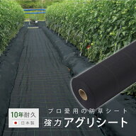 【10年耐久】強力・防草アグリシート幅1m 0.5m 100cm 50cm ロール 園芸 菜園 水耕栽培 雑草 対策 透水 水…