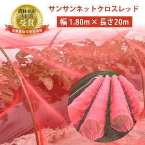 TTlbgNXbhq擾r lbg h 20m 10m 5m |pi |V[g v^[ Xq x_ gl͔| rj[nEX 엿  In AU~E} K[fjO 