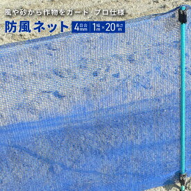 【園芸用 防風ネット 防風網】 幅1m×長さ20m 目合い:4mm ブルー 青 紙管 強風 対策 風よけ 暴風 軽い 丈夫 野菜 果物 守る 丈夫 台風 家庭菜園 DIY 落ち葉 プランター ガーデニング 対策 ロール 防風 水洗い 軽量 防砂 落果 木枯らし 雨風 日本ワイドクロス ラッセル