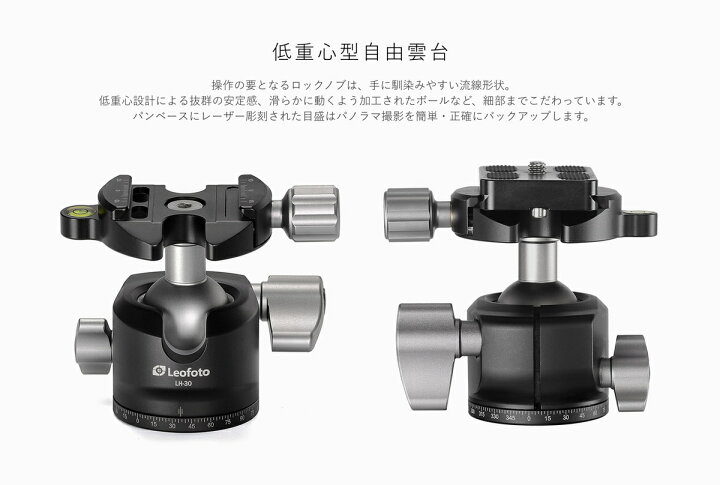 楽天市場】Leofoto(レオフォト) LS-254C+LH-30 カーボン三脚＋自由雲台 