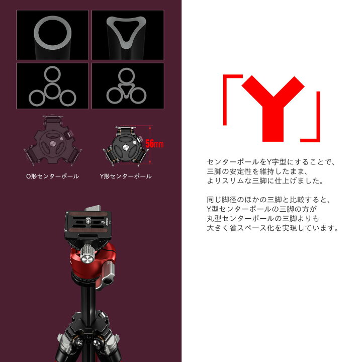 楽天市場】【一年保証】Leofoto(レオフォト) LY-224C+LH-25R カーボン 