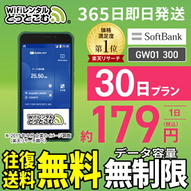 WiFi レンタル 30日 無制限 送料無料 即日発送 レンタルwifi レンタルwi-fi wifiレンタル ワイファイレンタル ポケットWiFi レンタルワイファイ Wi-Fi ソフトバンク SoftBank au ドコモ GW01 300 1ヶ月 引っ越しwifi 入院wifi 一時帰国wifi 国内wifi 引越wifi 国内 専用