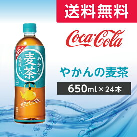 やかんの麦茶 from 一(はじめ) PET 650ml　24本　1ケース 【コカ・コーラ】