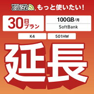 【延長専用】月間 100GB 延長プラン wifiレンタル延長専用 30日 wifi レンタル wifi ルーター wi−fi レ…