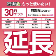 【延長専用】SoftBank 無制限 K4 501HW 303ZT E5785 FS030W NA01 WN-CS300FR E5383 T6 305ZT 801ZT 無制…