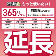 【延長専用】SoftBank 無制限 K4 501HW 303ZT E5785 FS030W NA01 WN-CS300FR E5383 T6 305ZT 801ZT 無制…