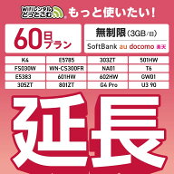 【延長専用】SoftBank 無制限 K4 501HW 303ZT E5785 FS030W NA01 WN-CS300FR E5383 T6 305ZT 801ZT 無制…