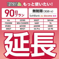 【延長専用】SoftBank 無制限 K4 501HW 303ZT E5785 FS030W NA01 WN-CS300FR E5383 T6 305ZT 801ZT 無制…