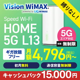 WiMAX 5G対応 L13 モバイルルーター 縛りなし Vision WiMAX ワイマックス