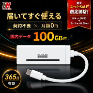 【スーパーセール★56%OFF】USB型WiFi スティックWi-Fi usbwifi リチャージ 100GB付き 365日 車用wi-fi …