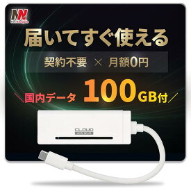 【2月18日までポイント★5倍】USB型WiFi スティックWi-Fi usbwifi リチャージ 車用wi-fi 車 wi-fi 車載 WiFi 100GB カーWiFi チャージ式WiFi バッテリーレス 給電式 買い切り型 契約不要 返却不要 月額0円 有効期間365日 AIR-Stick WiFi ネットナビゲート