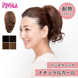 �y�v���V�� ���������z�o���X�E�B�b�O �w�i�`�������J�[���x BS-01 prisila wig �ϔM �|�C���g�E�B�b�O �G�N�X�e �u���b�N �u���E�� ���� ���� ��l ���R �i�`������ �Y�� �w�A�A�����W �~�Z�X ��