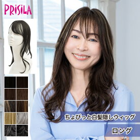 白髪隠し 自然 ちょびっと白髪隠しウィッグ 『ロング』旧仕様：クリップタイプ プリシラ ST-012Lb prisila ポイントウィッグ ヘアピース つむじ隠し 薄毛 部分ウィッグ 白髪 グレイヘア 毛量 ボリュームアップ シニア ミセス おしゃれ 洋装 和装 耐熱 送料無料