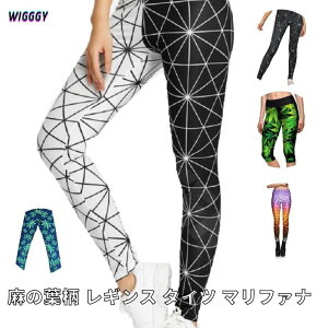  }t@i wv  420 MX t[ Xpbc K jZbNX OtBbN i jp wigggy-00047