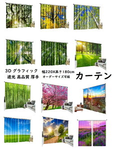 y h Ռ vgJ[ezR | ؘR x_[  X i i c OtBbN 3D@vg 110cmX2 180cm  h ͗lւ I[_[J[e