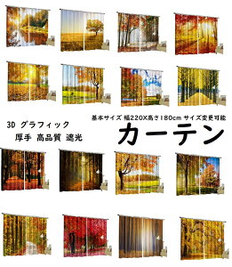 y h Ռ vgJ[ezؓ gt X i i c OtBbN 3D@vg 110cmX2 180cm  h ͗lւ vg I[_[J[e