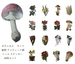 R[W fRp[W V[ XebJ[ {^jJ A AeB[N V[ XebJ[ Ntg 蒠  Mtg20 e3 60 ETM d IV 