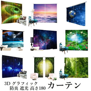 y hvgJ[ez_I n f F X LmR }bV[   X LmR 3D@vg 110cmX2 180cm  h ͗lւ vg F  n ObY