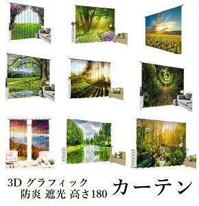 y hvgJ[e3z_I i 3DOtBbN F R i i WO z X 110cmX2 180cm  h ͗lւ vg F  I[_[J[e