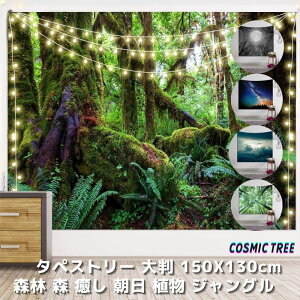 ^yXg[ 唻 傫 ډB X X   A  WO 150X130 }`Jo[ EH[A[g ^yXg[ IV CeA e[N wi rfIc Y[c