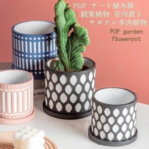 A[g  _ POP pXe v^[ Zg Aؔ 5 15cm  ϗtA T{e AɍœK IV 