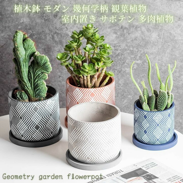 楽天市場 植木鉢 鉢 モダン テラコッタカラー プランター 5号 15cm 室内 観葉植物 サボテン 多肉植物に最適 オシャレ お洒落 Shop Wigggy個性派寝具生活様式店