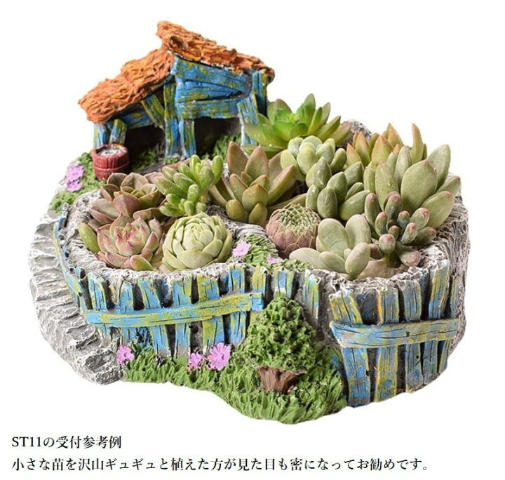 楽天市場 植木鉢 お城 民家 ハウス 多肉植物 寄せ植えに最適 プランター 大サイズ 底穴付き ガーデン ポット可愛い 室内 観葉植物 セダム エケベリア サボテン ハオルチア クラッスラ ハオルチア カランコエ Shop Wigggy個性派寝具生活様式店