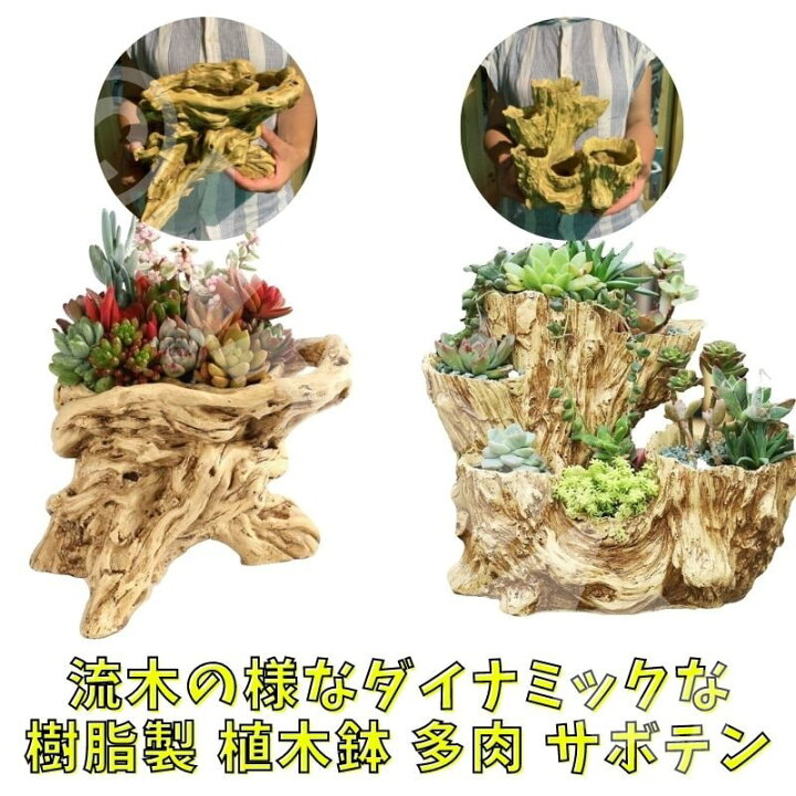 楽天市場】流木 鉢 植木鉢 木目 鉢 流木 丸太 樹脂製 木調 木 ウッド  