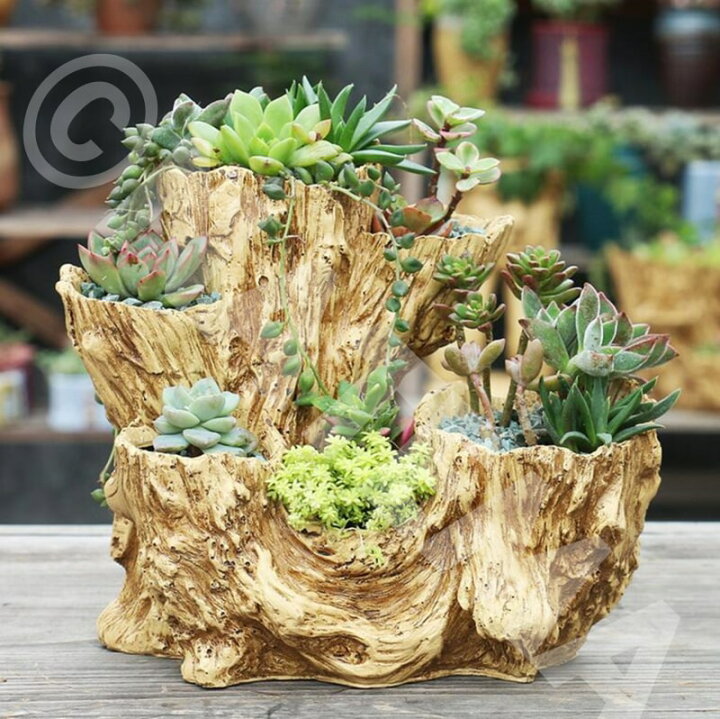 楽天市場】流木 鉢 植木鉢 木目 鉢 流木 丸太 樹脂製 木調 木 ウッド 